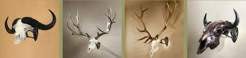 skull-hooker-wall-mounts