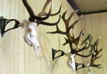 European-Mounts