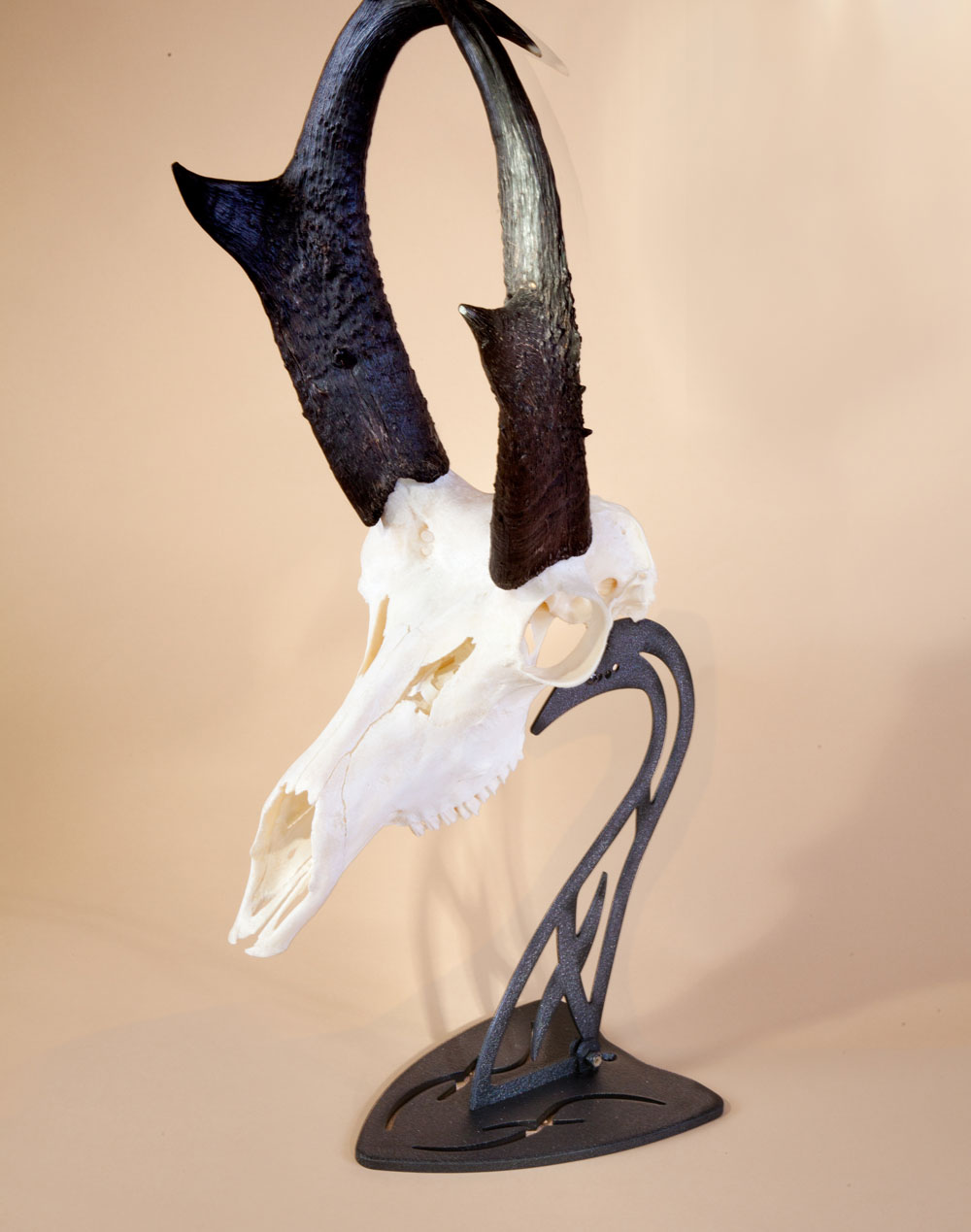 Table Hooker - Image 11