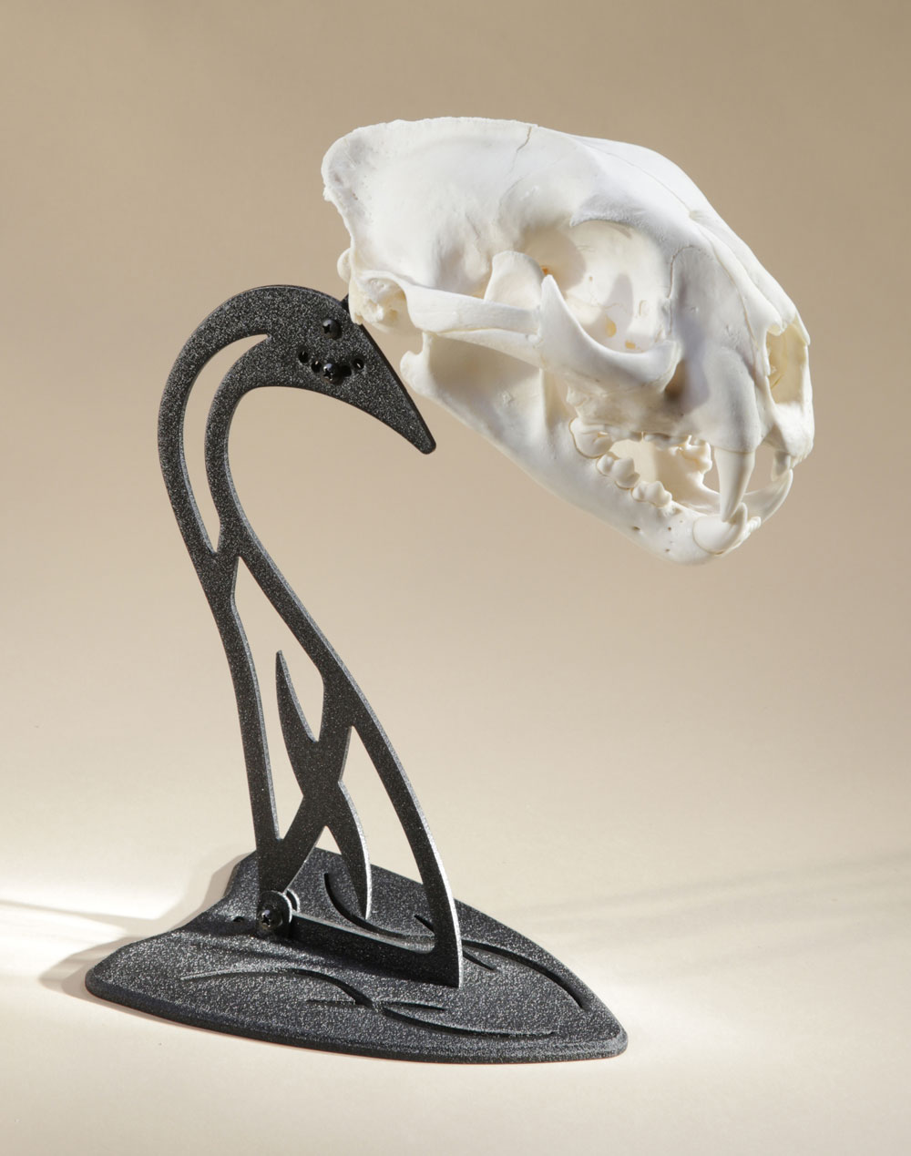Table Hooker - Image 5
