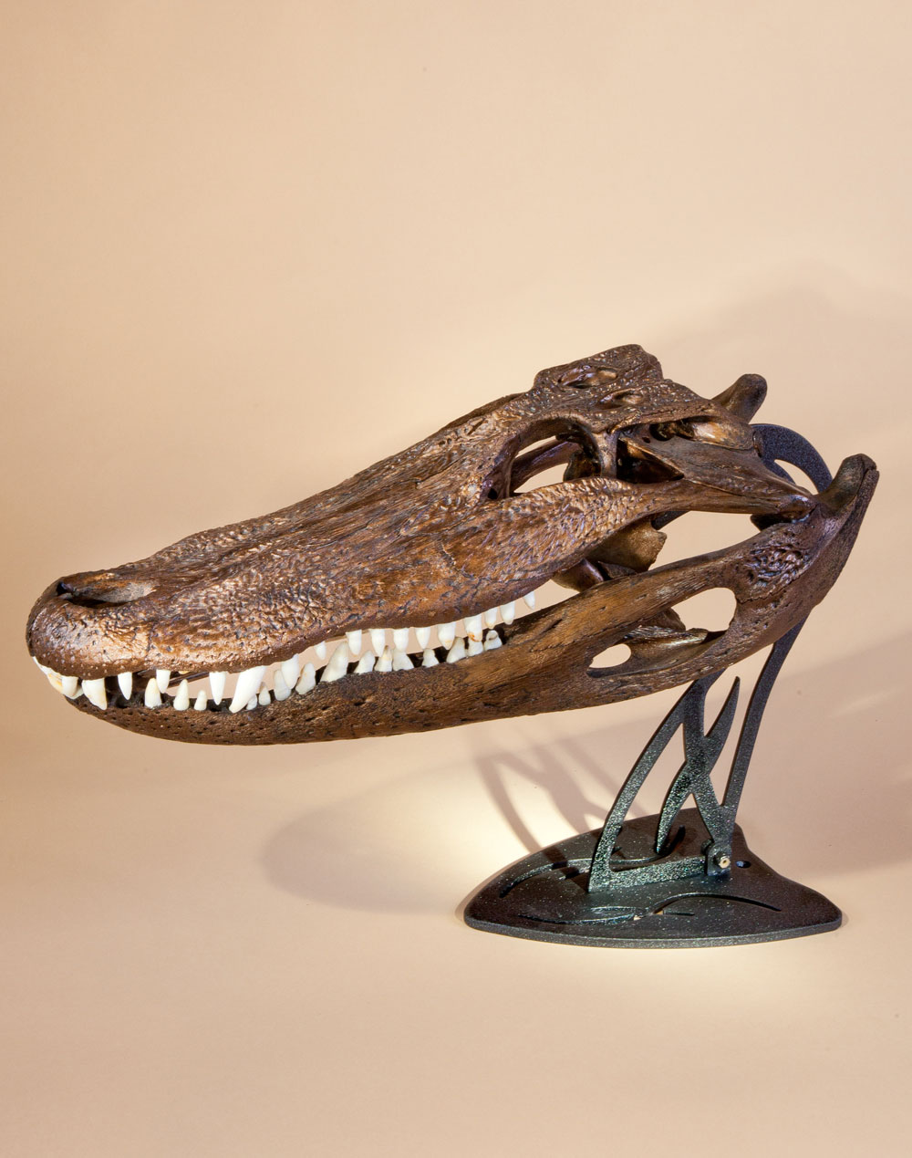 Table Hooker - Image 8