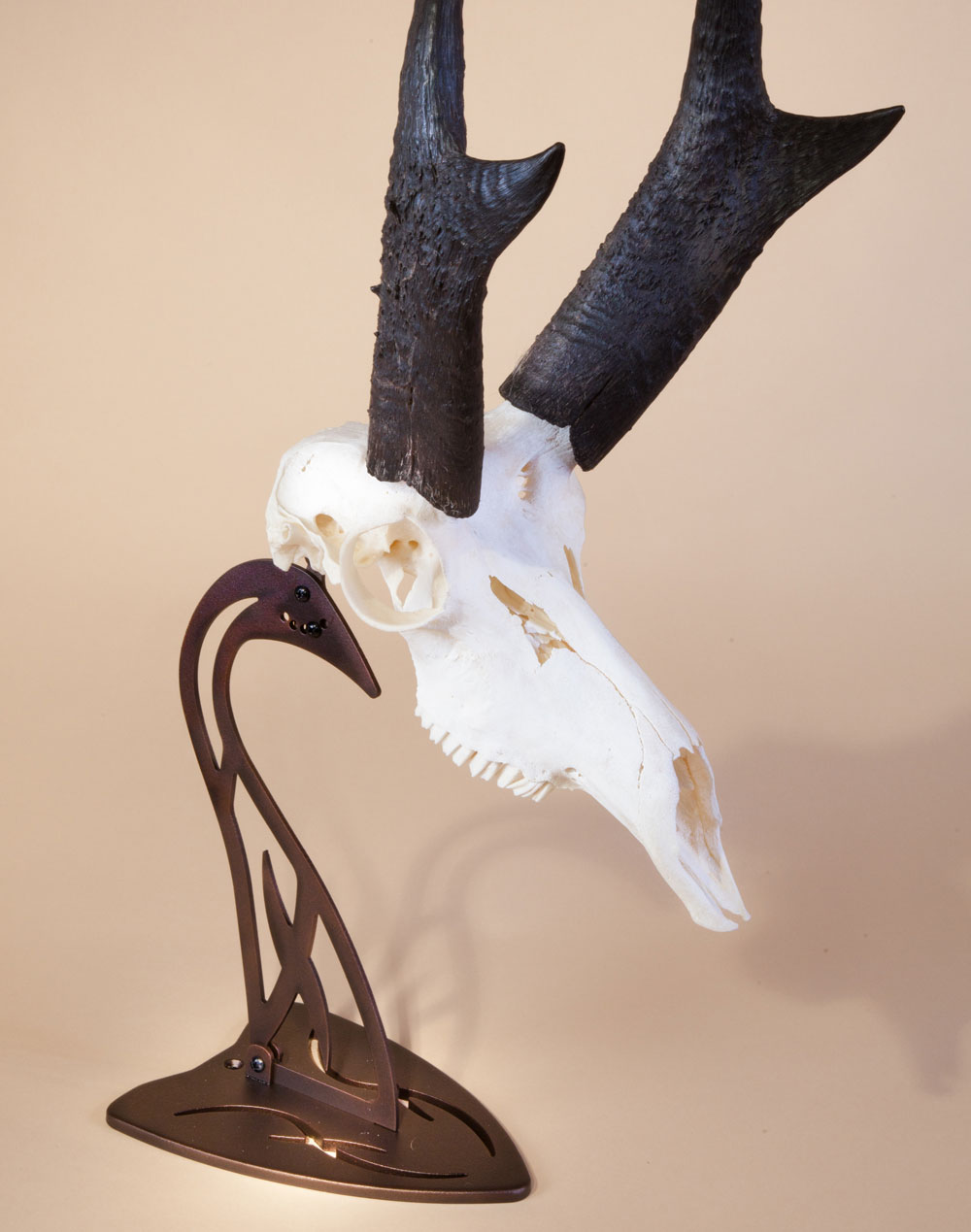 Table Hooker - Image 14