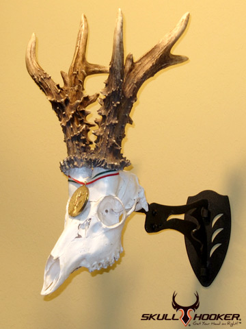 of parts bone Skull Bracket  Hooker   European Little Skull  Hooker