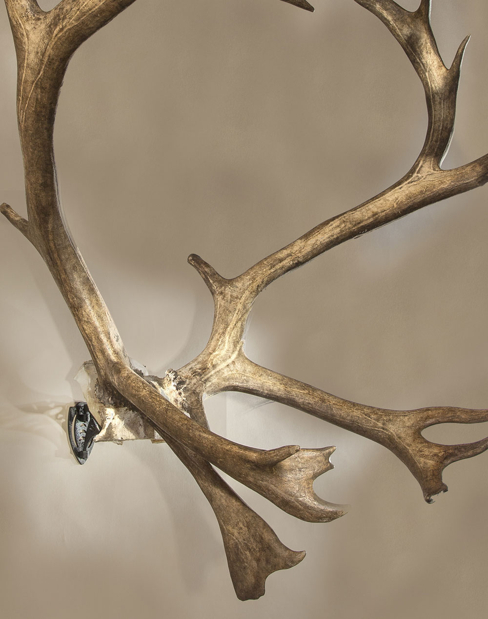 XXL Bone Bracket® - Image 5