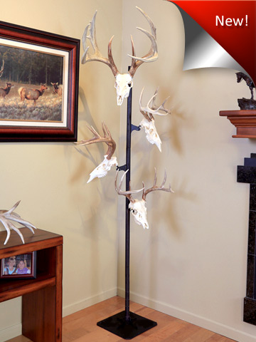 Deer Head Mount >> Skull Hooker | European Skull Bracket System, Skull Hanger ... Deer Head Mount >> Skull Hooker | European Skull Bracket System, Skull Hanger ...