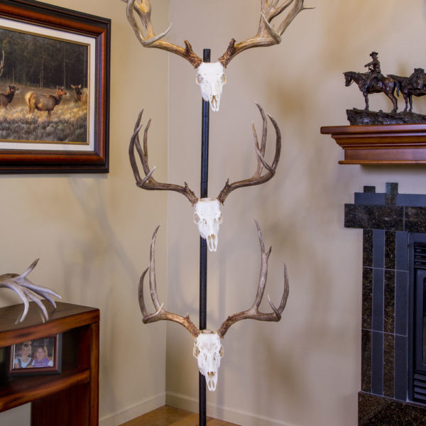 Skull Hooker Trophy Tree Pedestal Powder-Coated Steel Shoulder Mount - Perfect