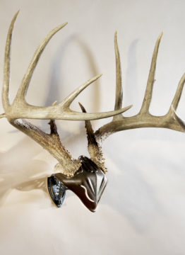20Lbs Mount Skull Hanger Deer Antelope Holder Antler Style 3pc Skull Hooker Kit 