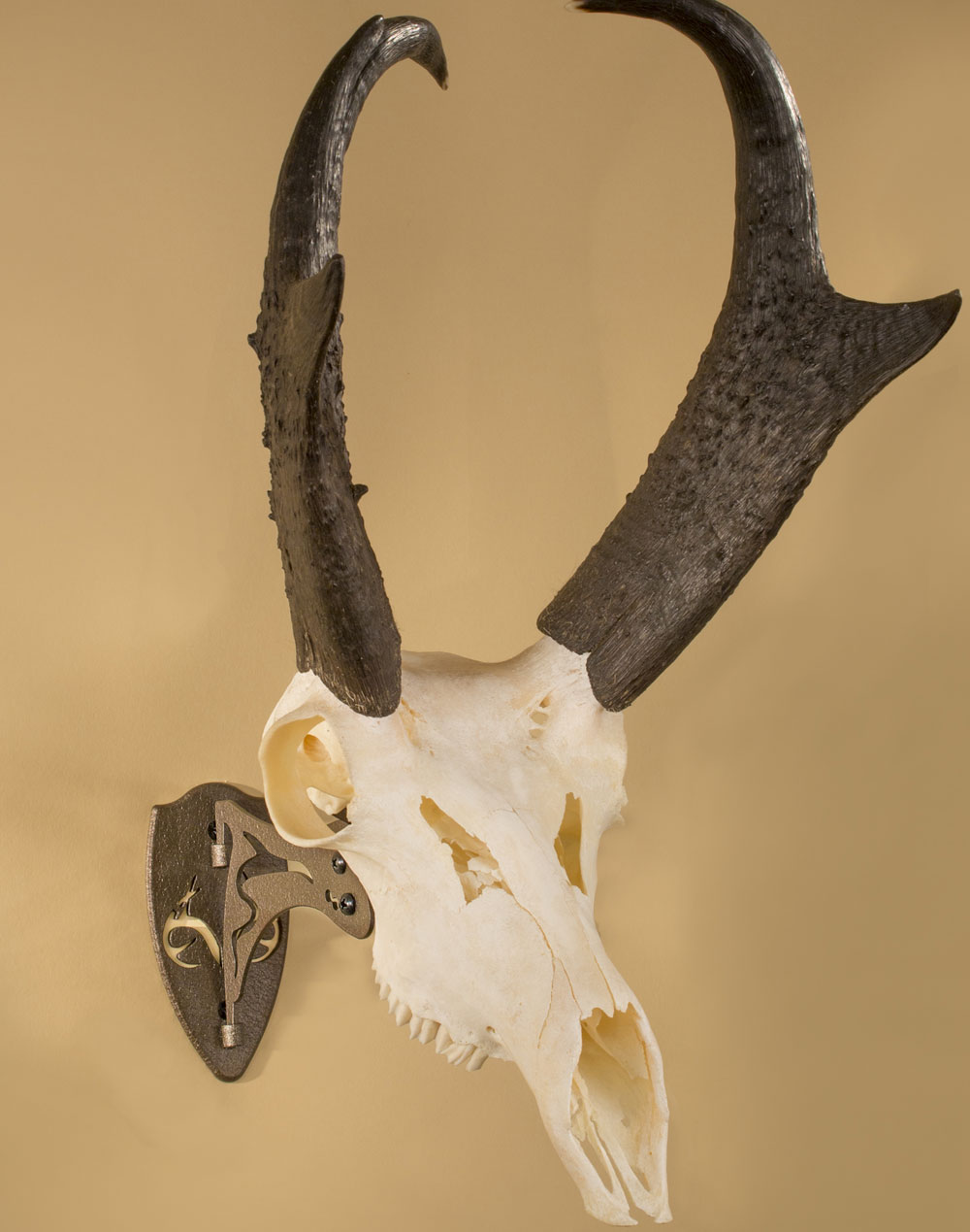 REALTREE® Edition Little Hooker® - Skull Hooker