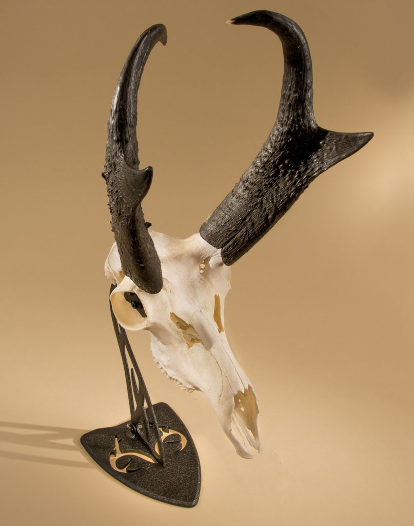 REALTREE® Edition Table Hooker - Skull Hooker