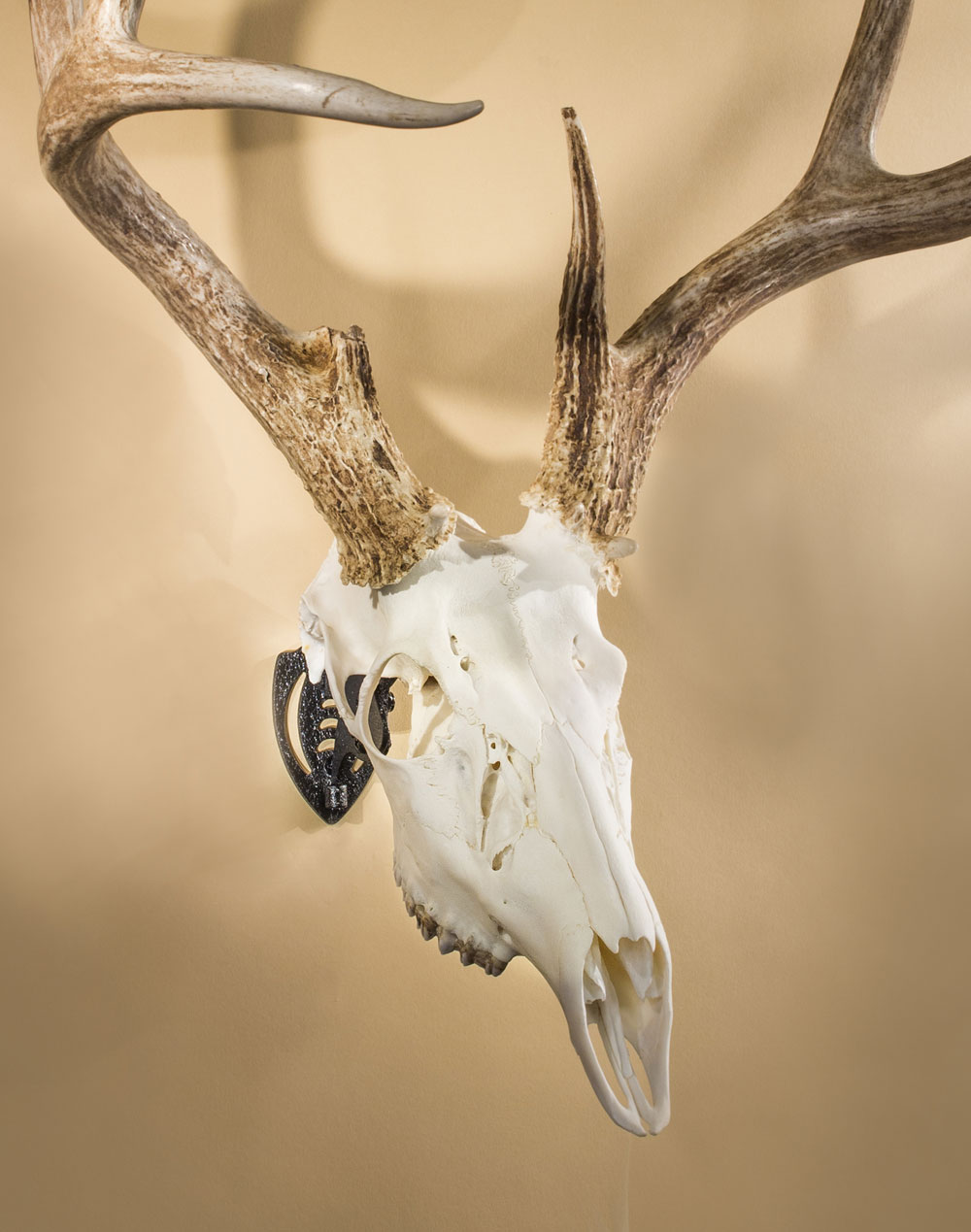 Mini Hooker - Skull Hooker