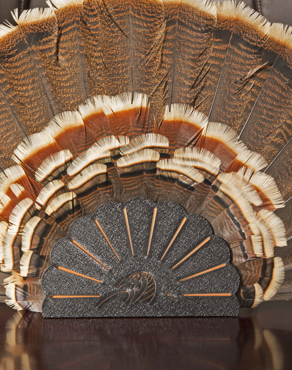 NWTF Relive Your Hunts with a Turkey Hooker Fan Mount Skull Hooker