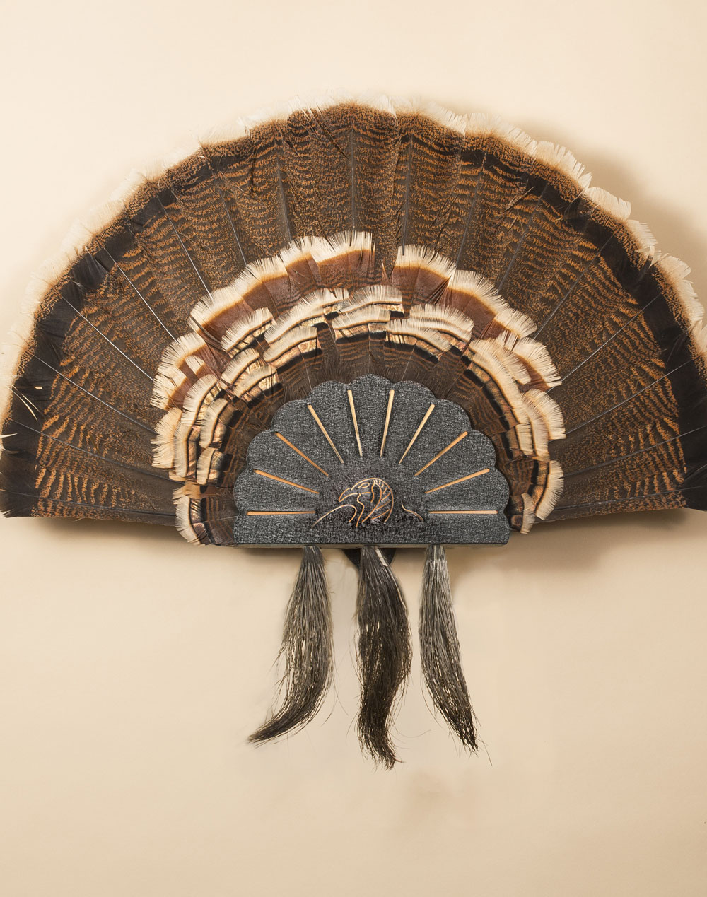 Black Turkey Fan and Beard Mount with Skull Hangers 