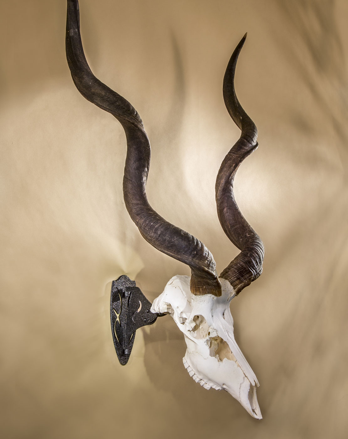 Kudu European Mount