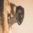 Single Shoulder Mount