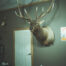 Large Shoulder Mount