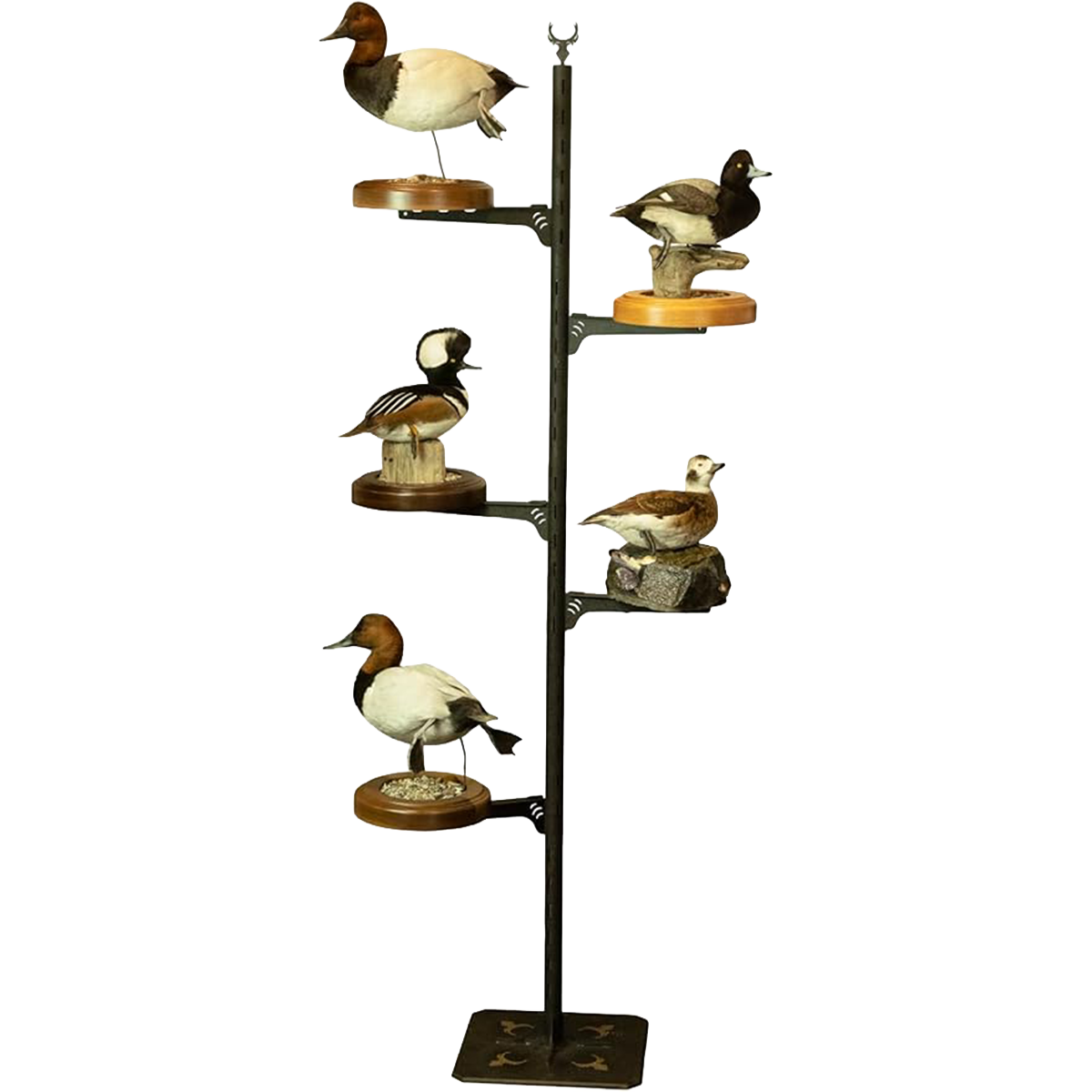 Avian X Edition Trophy Tree